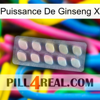 Ginseng Power X 08